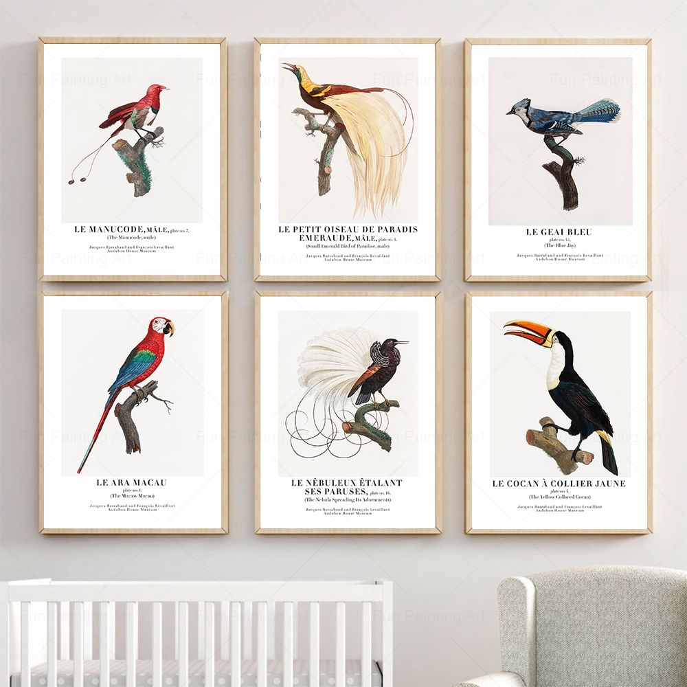Vintage Paradise Bird Wall Art - Furniture Paradise & Hardware Ghaziabad avis et prix