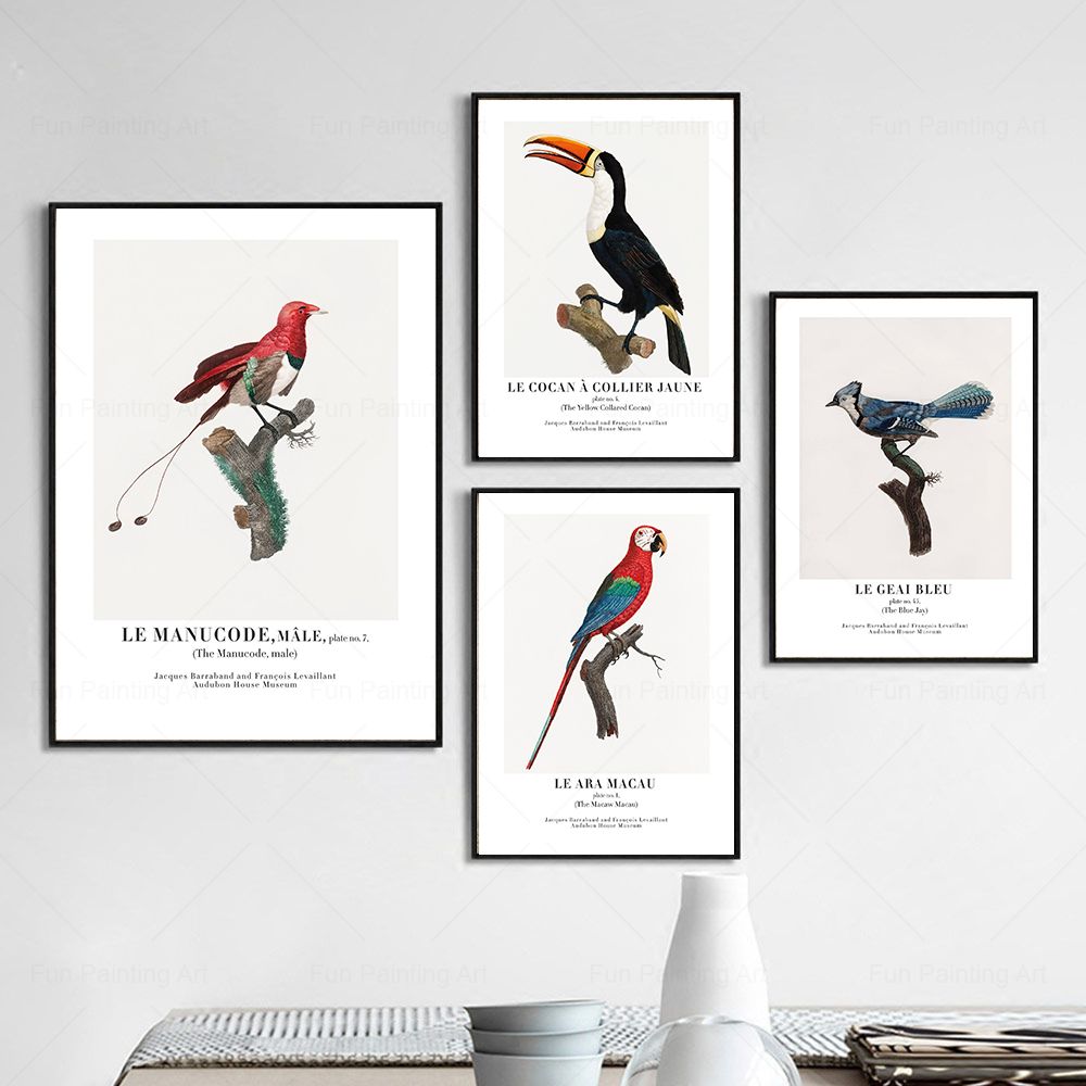 Vintage Paradise Bird Wall Art - Furniture Paradise & Hardware Ghaziabad avis et prix