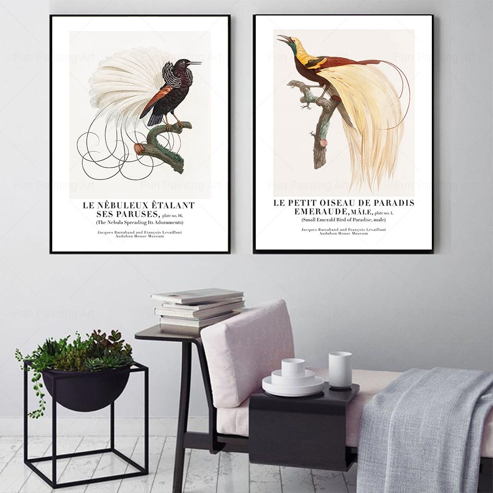 Vintage Paradise Bird Wall Art - Furniture Paradise & Hardware Ghaziabad avis et prix