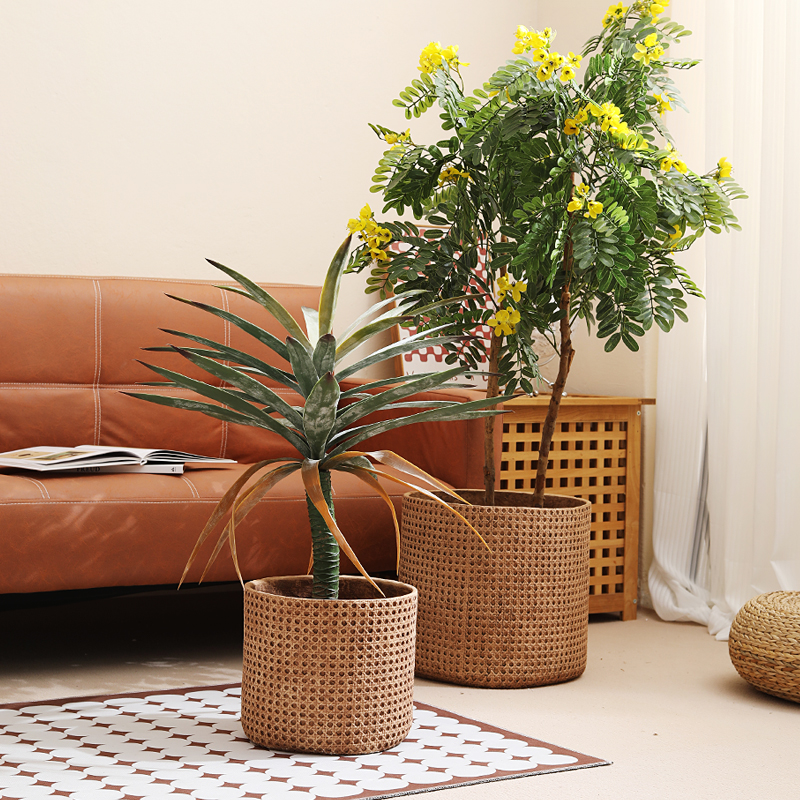 Furniture for small-sized apar - Furniture Paradise & Hardware Ghaziabad avis et prix