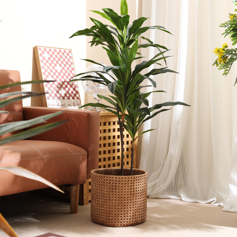 Furniture for small-sized apar - Furniture Paradise & Hardware Ghaziabad avis et prix