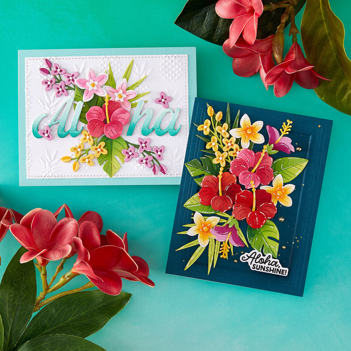 Turtle Blooms Hibiscus Paradis - Furniture Paradise & Hardware Ghaziabad avis et prix
